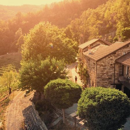 Cascina Bertolotto Wine Resort 스피노몬페라토 외부 사진