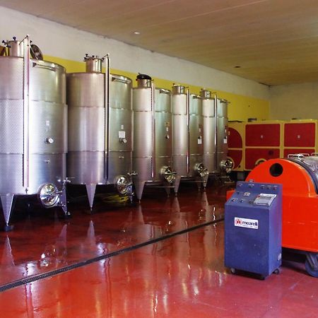 Cascina Bertolotto Wine Resort 스피노몬페라토 외부 사진