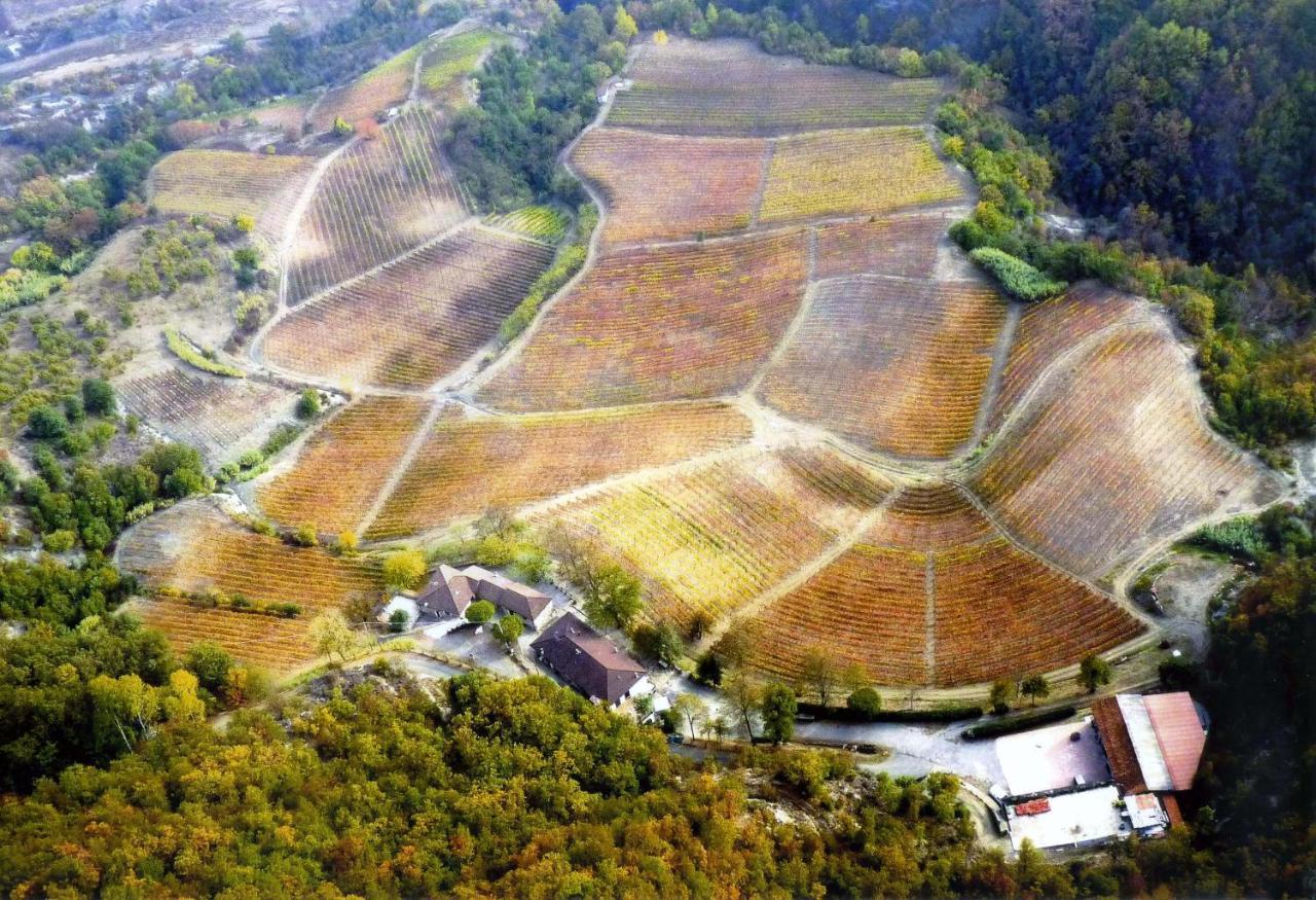 Cascina Bertolotto Wine Resort 스피노몬페라토 외부 사진