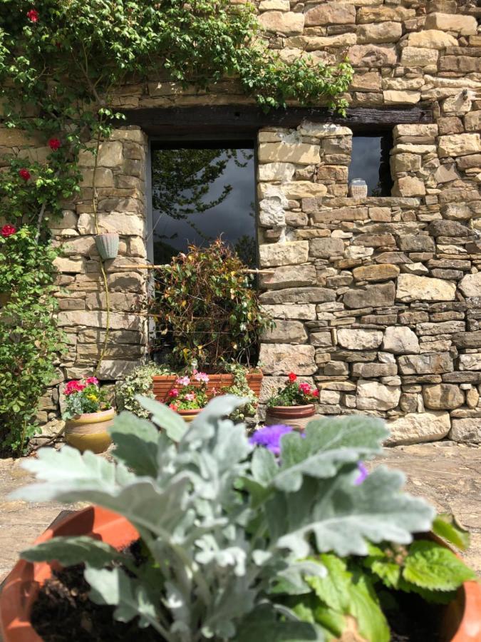 Cascina Bertolotto Wine Resort 스피노몬페라토 외부 사진