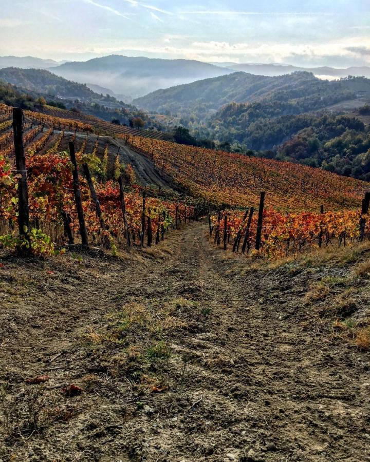 Cascina Bertolotto Wine Resort 스피노몬페라토 외부 사진