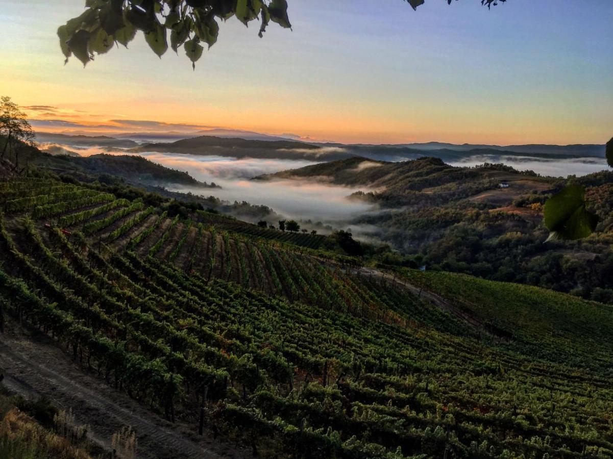 Cascina Bertolotto Wine Resort 스피노몬페라토 외부 사진