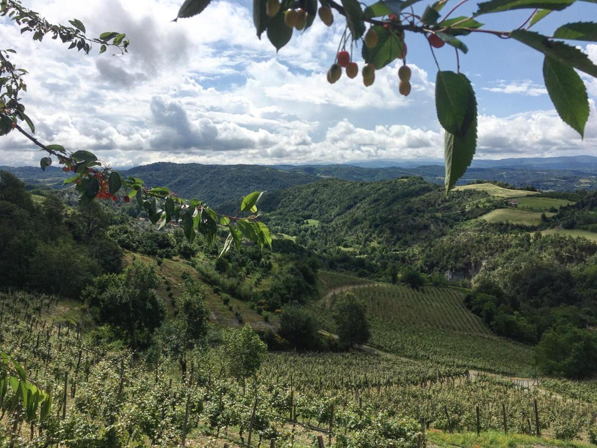 Cascina Bertolotto Wine Resort 스피노몬페라토 외부 사진