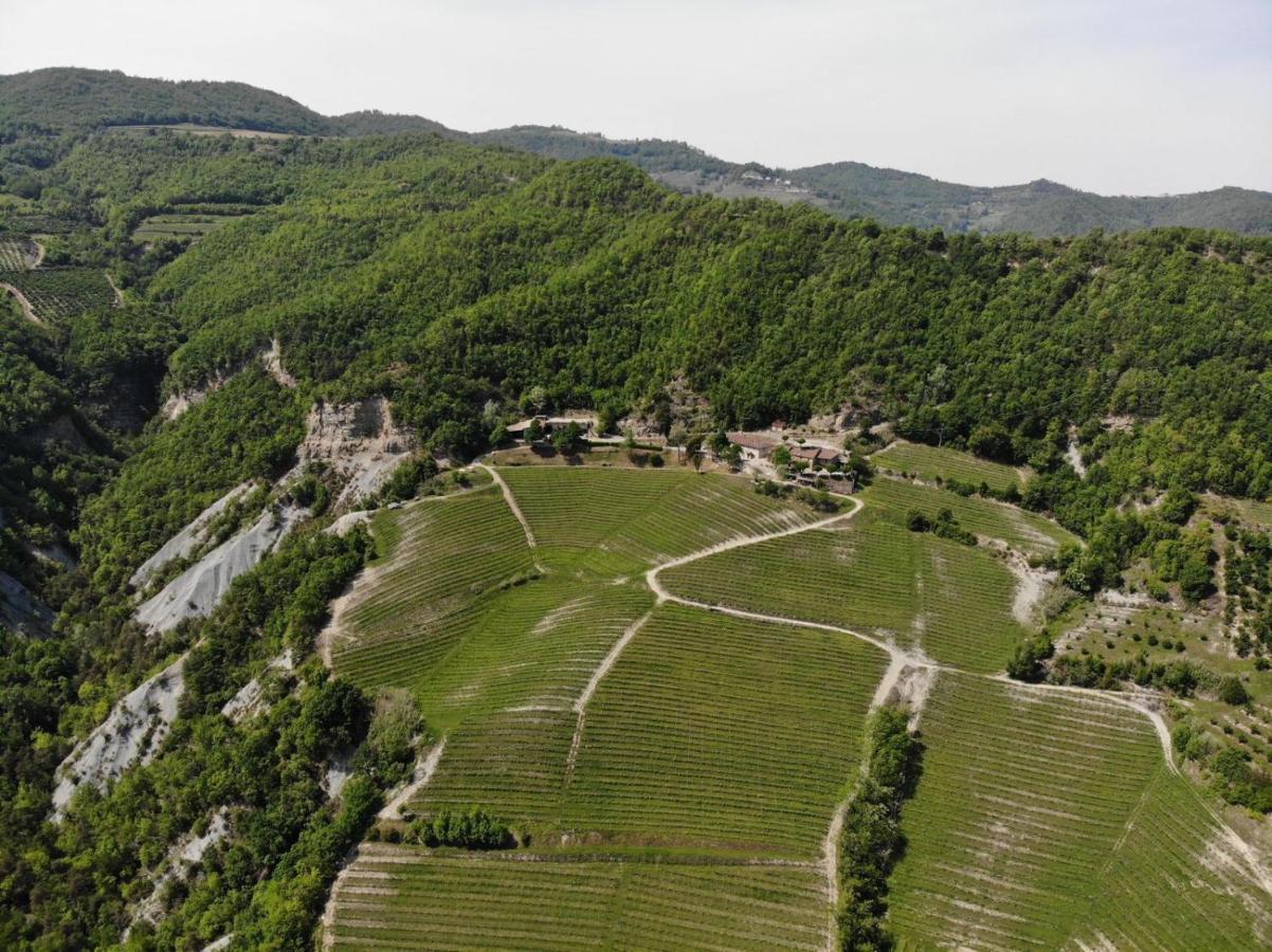 Cascina Bertolotto Wine Resort 스피노몬페라토 외부 사진
