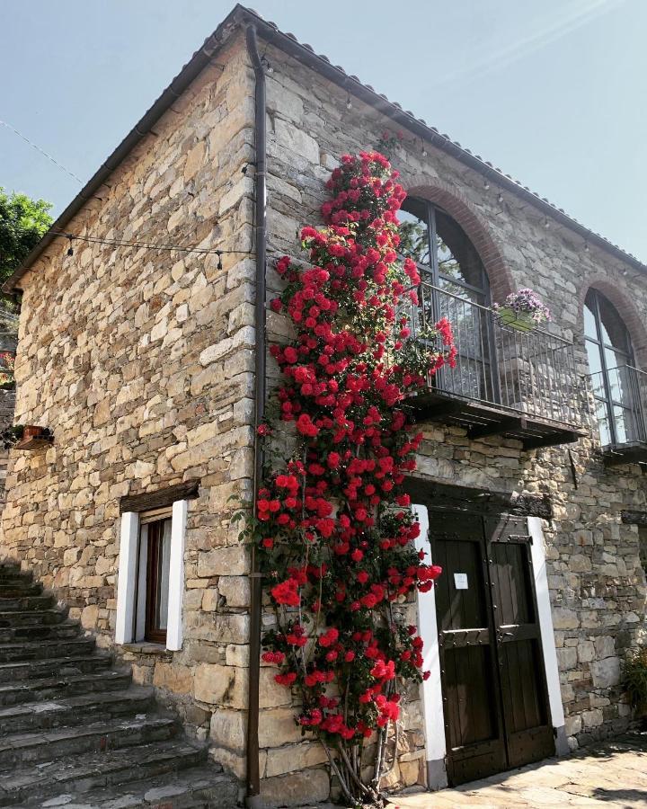 Cascina Bertolotto Wine Resort 스피노몬페라토 외부 사진