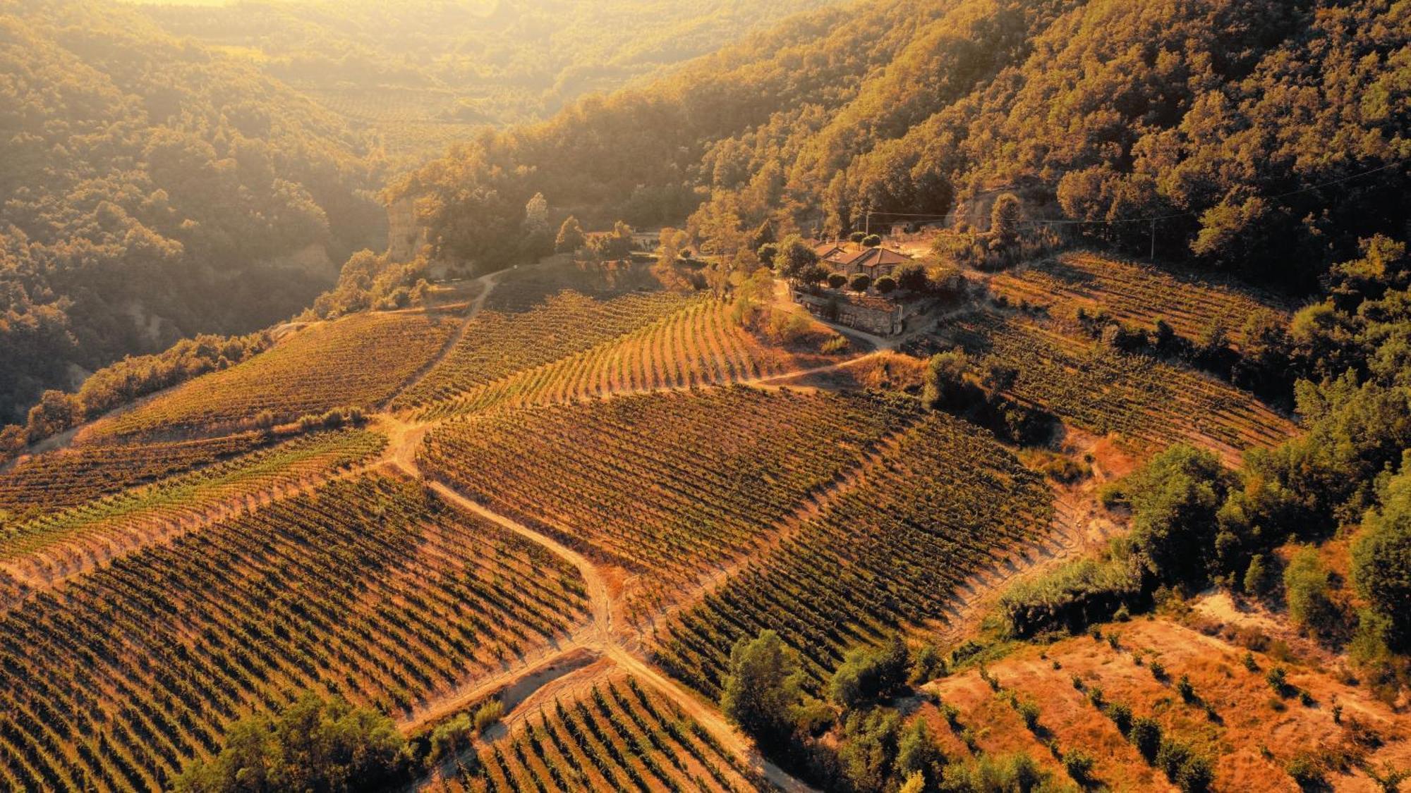Cascina Bertolotto Wine Resort 스피노몬페라토 외부 사진
